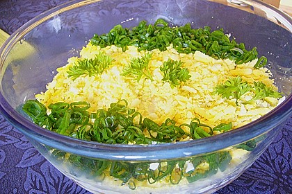 Schichtsalat mit Thunfisch nach japanischer Art 2