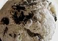 Cookies *n* Cream Ice