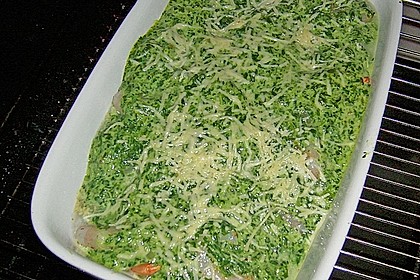 Lachs - Spinat - Auflauf 6