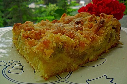 Rhabarber - Streuselkuchen 18