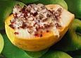 Papaya mit Fleischf&uuml;llung