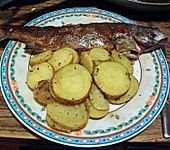 Forelle mit Serrano - Schinken (Bild)