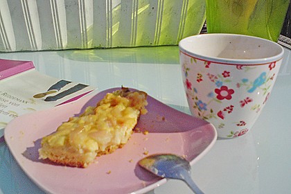 Rhabarberkuchen 11