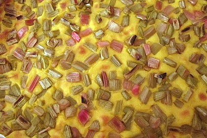 Rhabarberkuchen 10