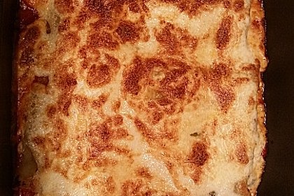 Cannelloni mit Hähnchen - Pilz - Füllung 6