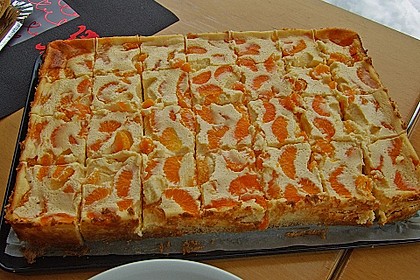 Schmandkuchen (in einem Arbeitsgang) 10