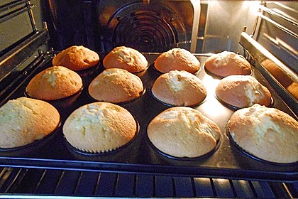 Rhabarber - Muffins 37