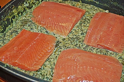 Lachs - Spinat - Nudeln 11
