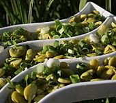 Favas com coentros (Bild)