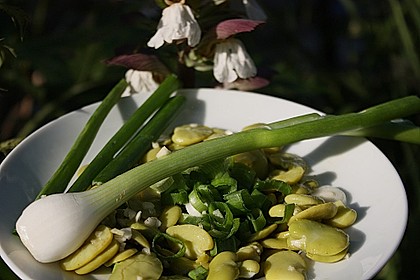 Favas com coentros 2