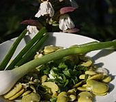 Favas com coentros (Bild)