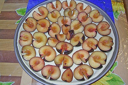 Pflaumen Hefekuchen 1
