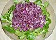 Rotkohlsalat mit Thunfisch