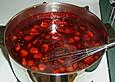 Rote Gr&uuml;tze