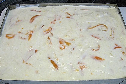 Aprikosen - Weintorte 2