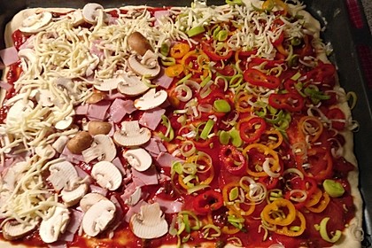 Italienischer Pizzateig 70