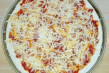 Italienischer Pizzateig 346