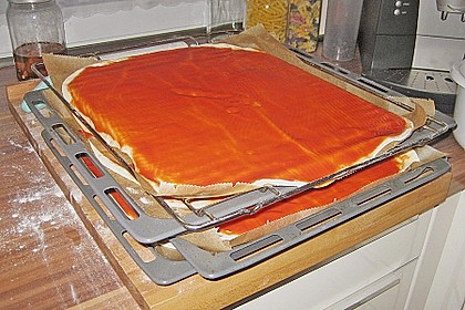 Italienischer Pizzateig 295
