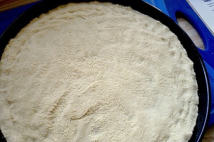 Italienischer Pizzateig 184