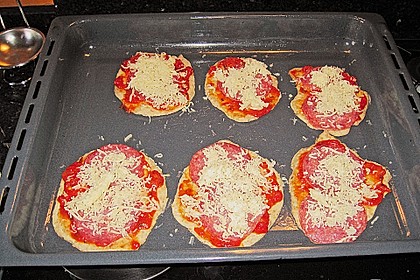 Italienischer Pizzateig 310