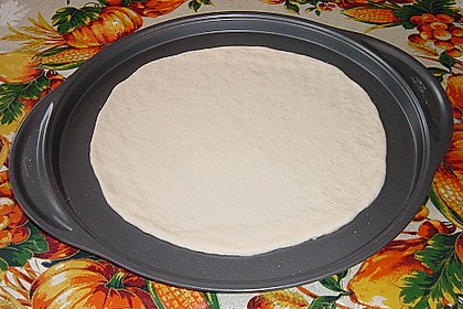 Italienischer Pizzateig 241