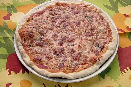 Italienischer Pizzateig 256