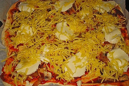 Italienischer Pizzateig 226