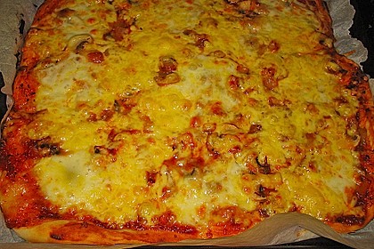 Italienischer Pizzateig 318