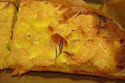 Italienischer Pizzateig 227