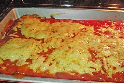 Italienischer Pizzateig 299