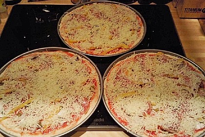 Italienischer Pizzateig 245