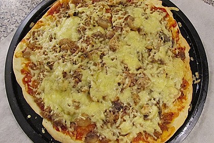 Italienischer Pizzateig 225