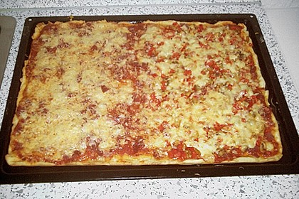 Italienischer Pizzateig 303