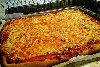 Italienischer Pizzateig 203