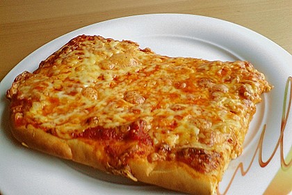 Italienischer Pizzateig 137