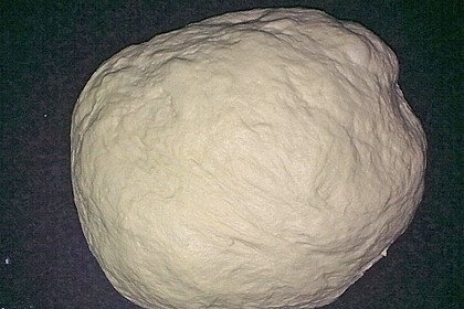 Italienischer Pizzateig 259