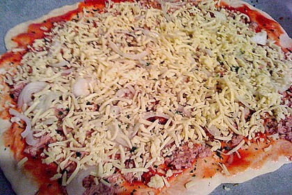 Italienischer Pizzateig 321