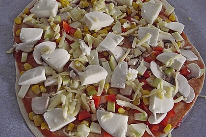 Italienischer Pizzateig 231