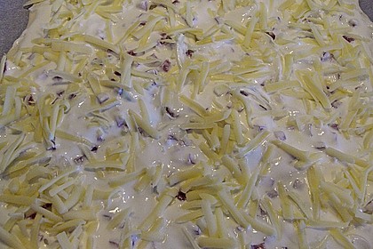 Italienischer Pizzateig 340