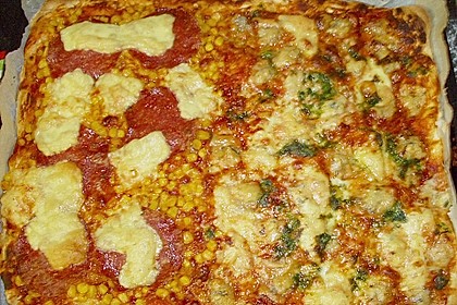 Italienischer Pizzateig 322