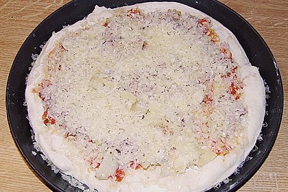 Italienischer Pizzateig 349