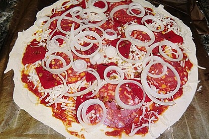 Italienischer Pizzateig 267
