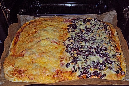 Italienischer Pizzateig 237