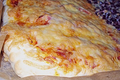 Italienischer Pizzateig 156