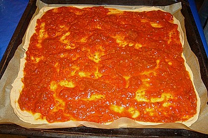 Italienischer Pizzateig 307