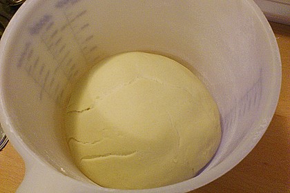Italienischer Pizzateig 315