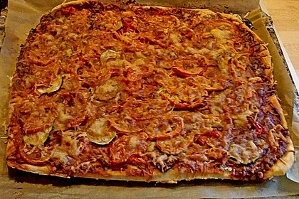 Italienischer Pizzateig 313