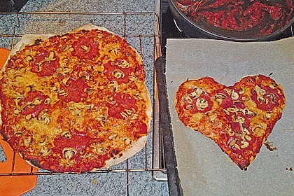 Italienischer Pizzateig 255
