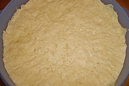 Italienischer Pizzateig 330