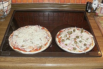 Italienischer Pizzateig 312